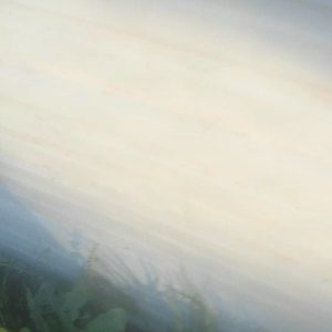 Meet your Posher, Lidia